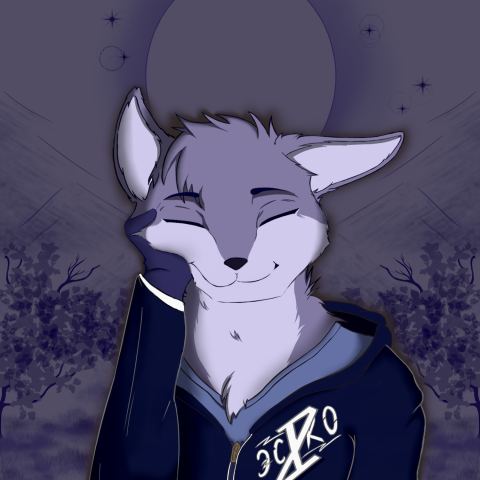 Заказ:референс персонажа "Аколи"